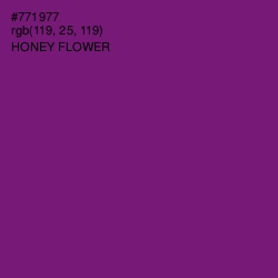 #771977 - Honey Flower Color Image